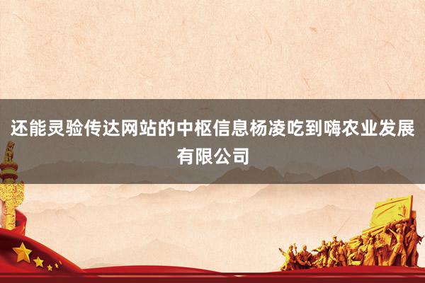 还能灵验传达网站的中枢信息杨凌吃到嗨农业发展有限公司